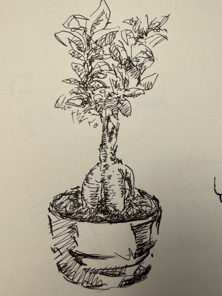Sketchbook design by Mike Son